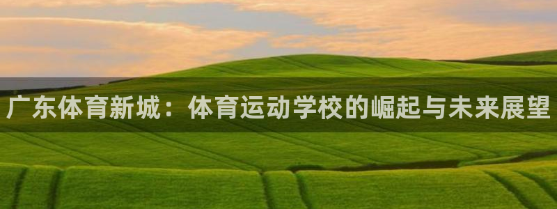 vsport体育官网下载招商电话号码是多少号