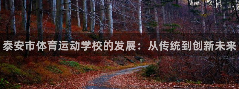 vsport体育官网下载平台是正规平台吗