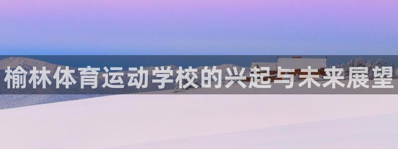 vsport体育官方正版app娱乐网站