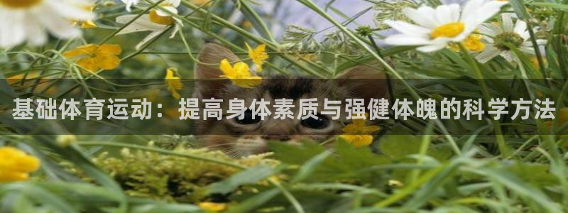 vsport体育官网下载平台是正规平台吗安全吗