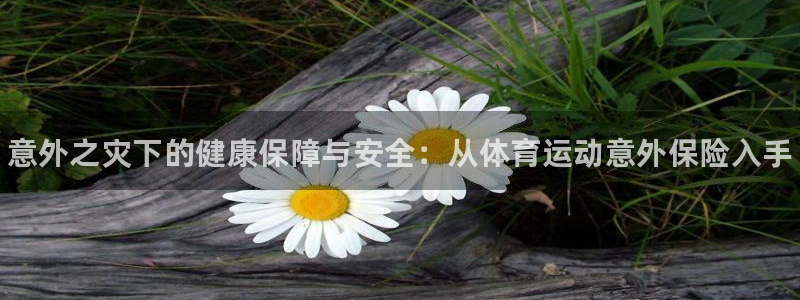 vsport体育官方正版app集团官网首页