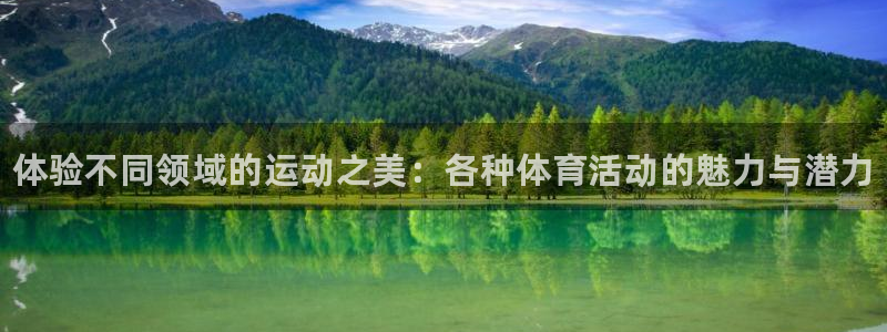 vsport体育官方正版app娱乐首页官网下载：体验不同领域