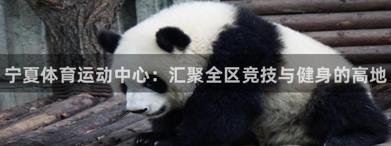 vsport体育官网下载平台假的吗是真的吗吗