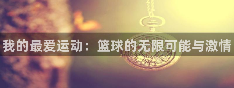 vsport体育官方正版app官网：我的最爱运动：篮