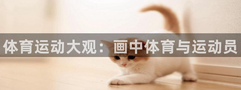 vsport体育官方正版app集团官网网址：体育运动