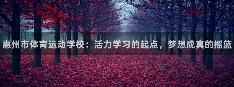 vsport体育官方正版app娱乐代理怎么样：惠州市