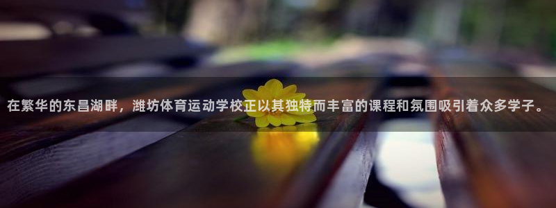 vsport体育官网下载招商电话是多少：在繁华的东昌湖畔，潍
