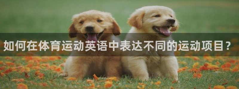 vsport体育官方正版app娱乐首页官网下载：如何在体育运