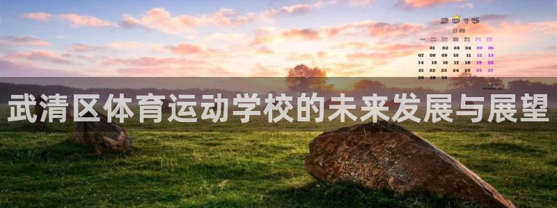 vsport体育官方正版app娱乐是那个系列的台子：