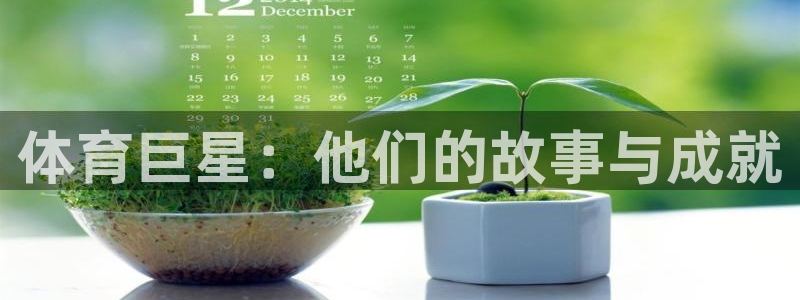 vsport体育官方集团官网：体育巨星：他们的故事与