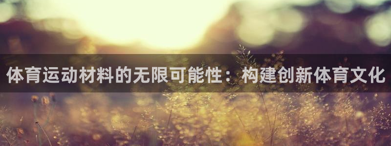 vsport体育官方正版app新能源：体育运动材料的无限可能