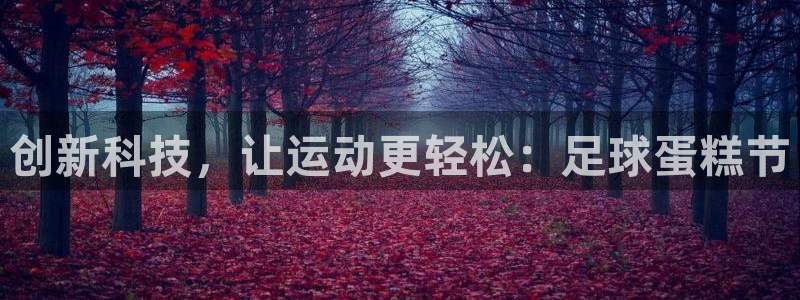 vsport体育官网下载招商电话是多少：创新科技，让