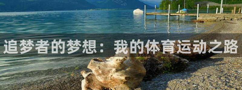 vsport体育官网下载平台APP：追梦者的梦想：我的体育运