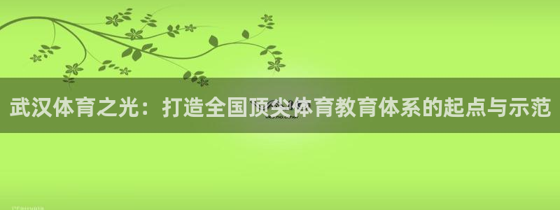 vsport体育官方平台体育：武汉体育之光：打造全国顶尖体育
