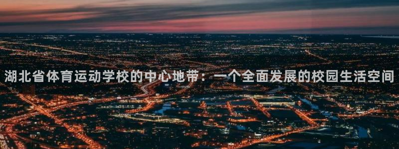 vsport体育官网下载平台注册流程视频：湖北省体育