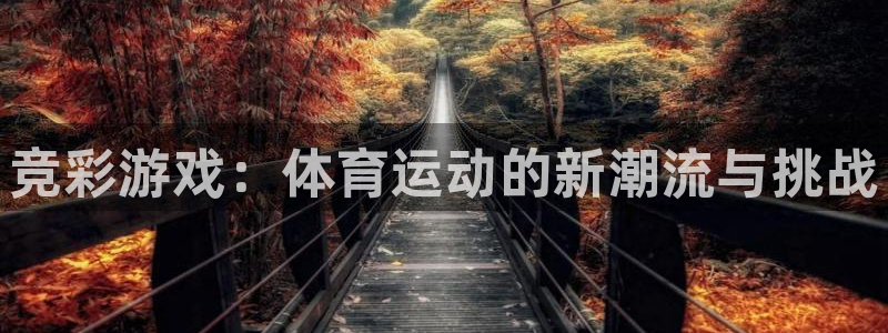 vsport体育官网下载平台