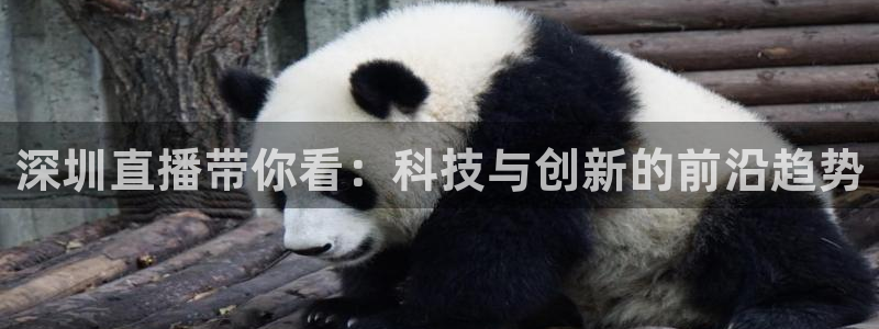 jytv鲸鱼体育：深圳直播带你看：科技与创新的前沿趋势