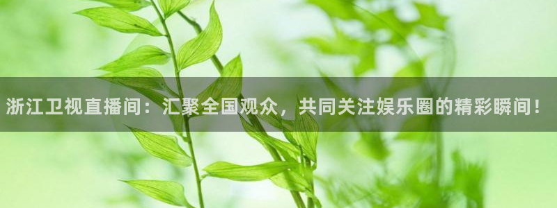 鲸鱼体育免费直播nba：浙江卫视直播间：汇聚全国观众，共同关注娱乐圈的精彩瞬间！