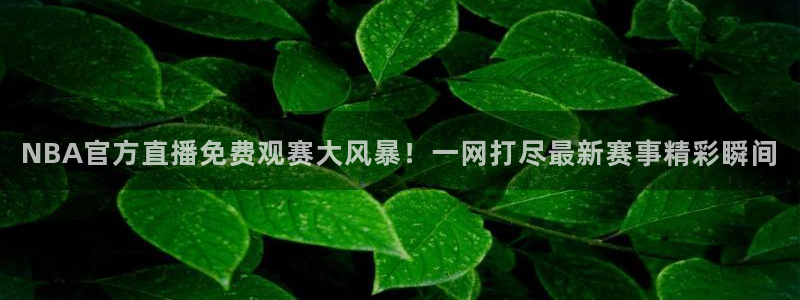 jytv01鲸鱼体育直播：NBA官方直播免费观赛大风暴！一网打尽最新赛事精彩瞬间