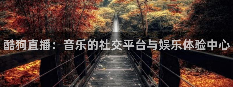 鲸鱼体育在线观看nba：酷狗直播：音乐的社交平台与娱乐体验中心