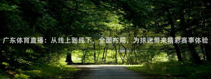 鲸鱼体育nba直播在线观看：广东体育直播：从线上到线下，全面布局，为球迷带来精彩赛事体验