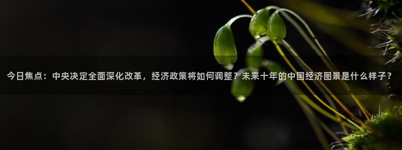 nba鲸鱼体育：今日焦点：中央决定全面深化改革，经济政策将如何调整？未来十年的中国经济图景是什么样子？
